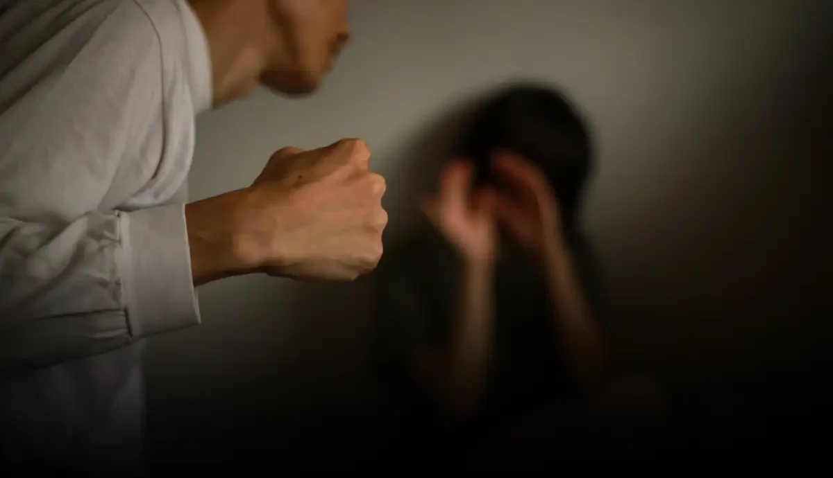 prior record level DV NC