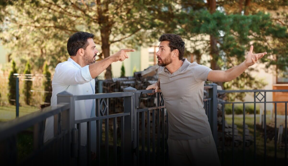 third party witnesses DV NC