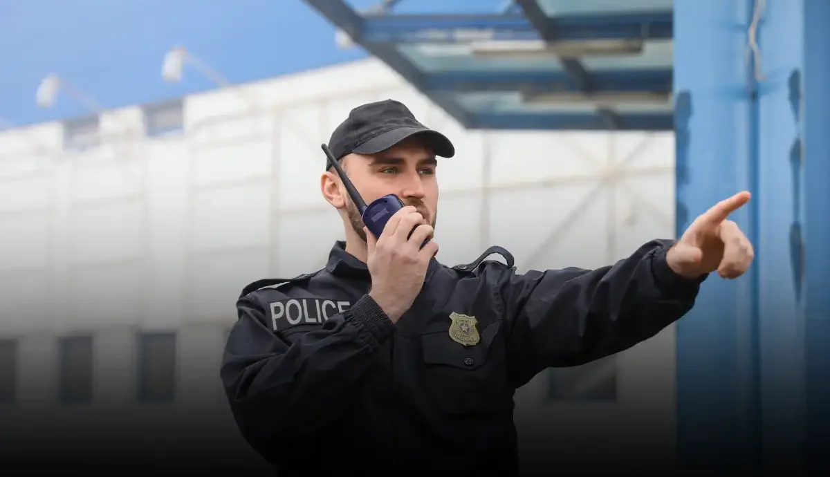 predominant aggressor DV NC